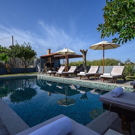 Platanias Villa Spyros Zewnętrze zdjęcie